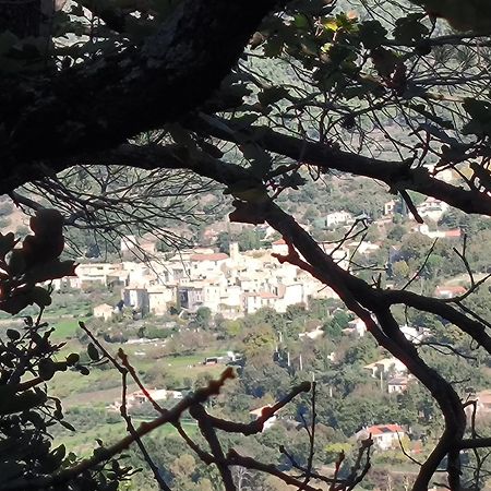 Venterol  A L'Oree Des Oliviers מראה חיצוני תמונה