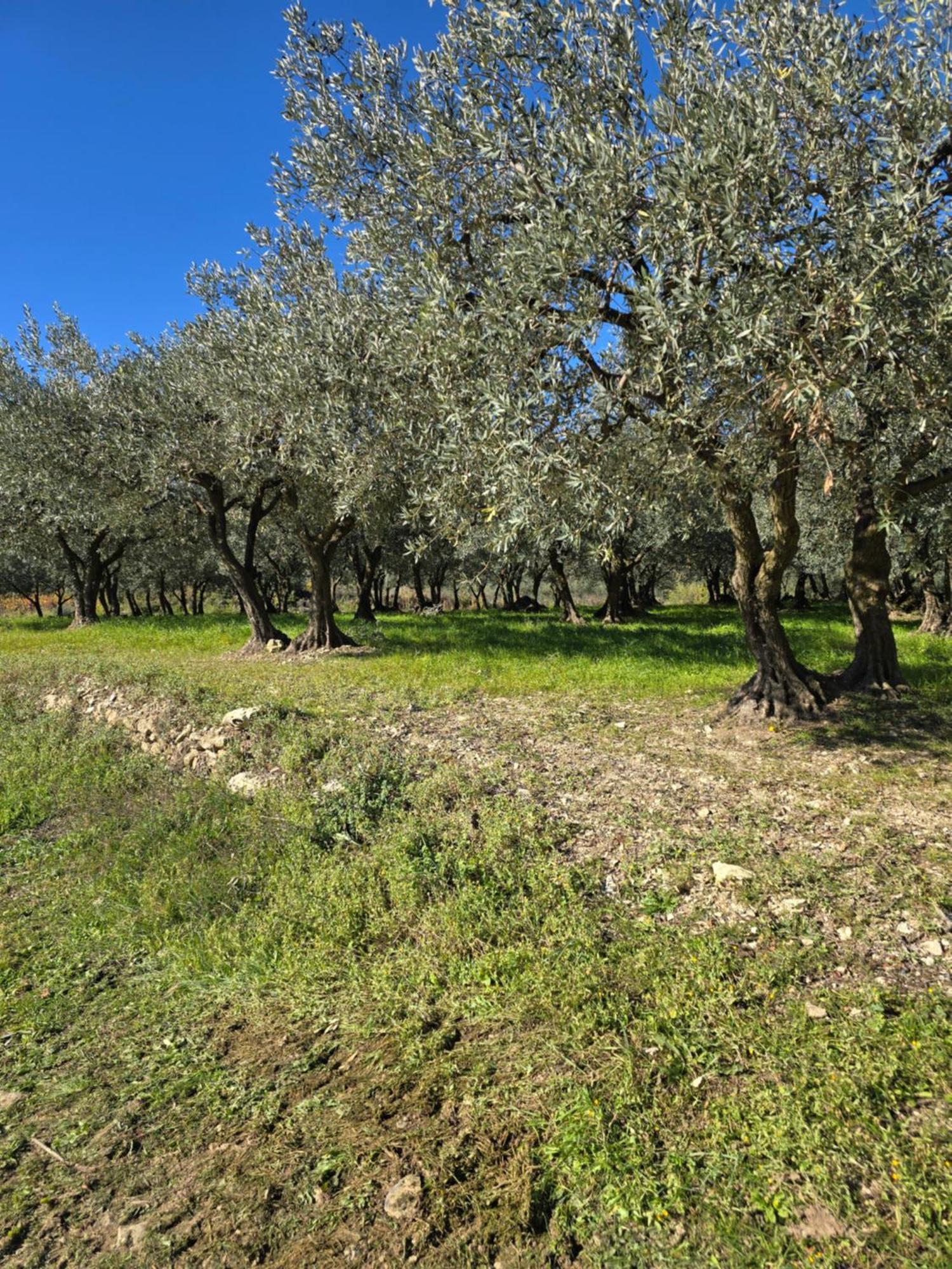 Venterol  A L'Oree Des Oliviers מראה חיצוני תמונה